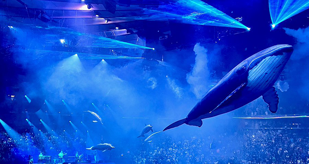 ‘Drone-controlled’ dolphins fly through air at Phish concert