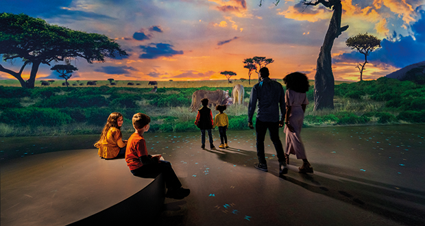 Illuminarium first-of-its-kind show brings Africa to life