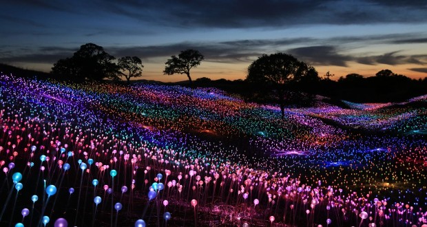 Field of light to host 28,000 fibre-optic light pods