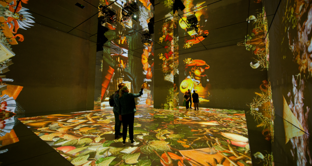 Frameless attraction ‘sets art free’ with Panasonic projectors